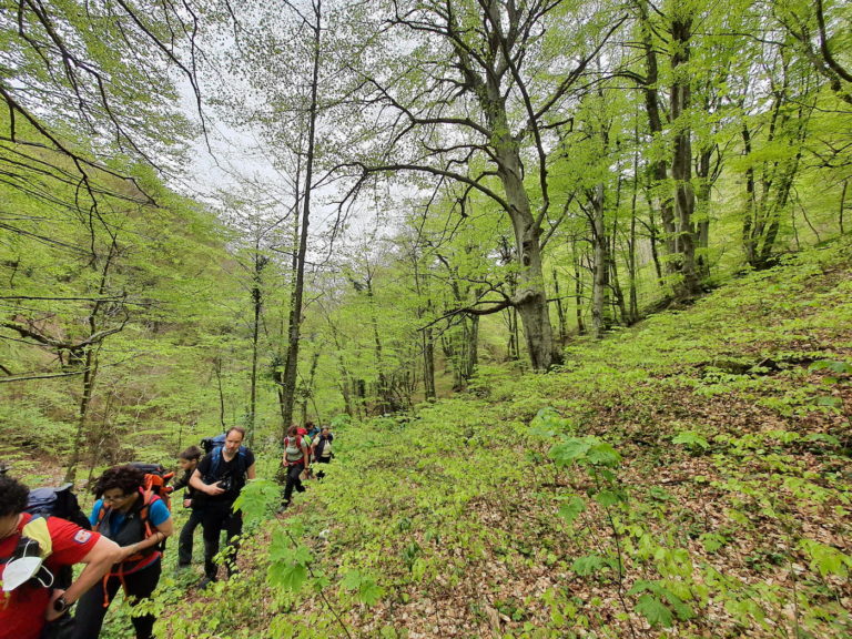 Guida Ambientale Escursionistica nelle Marche con Nazzareno Polini 9